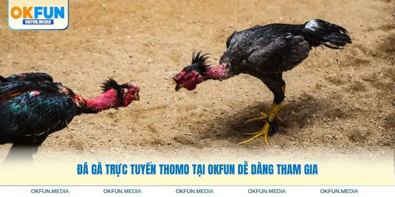 da-ga-truc-tuyen-thomo-de-dang-tham-gia